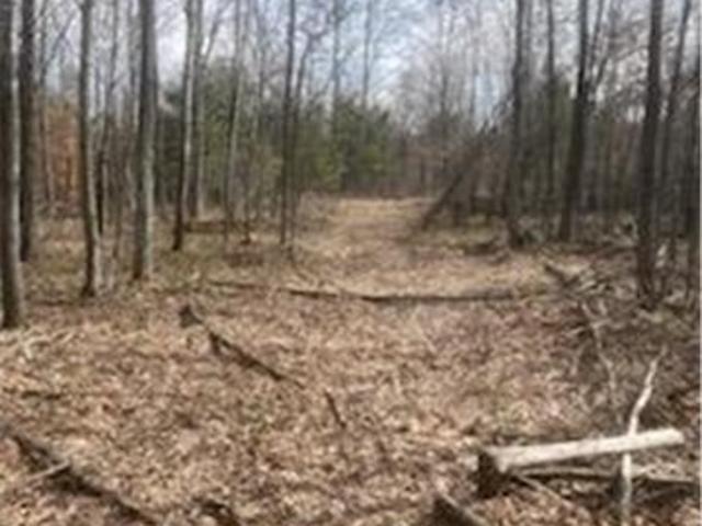 Land for sale in Grantsburg, Wisconsin