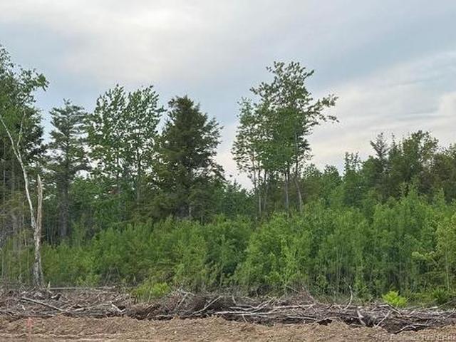 Land for sale in Albert, New Brunswick