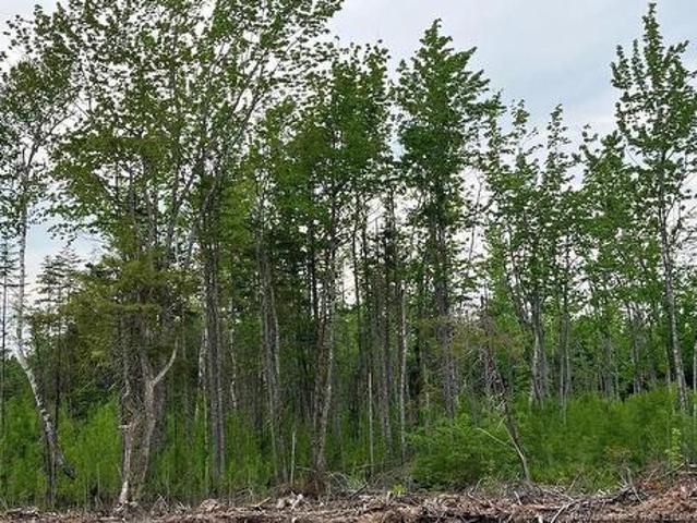 Land for sale in Albert, New Brunswick