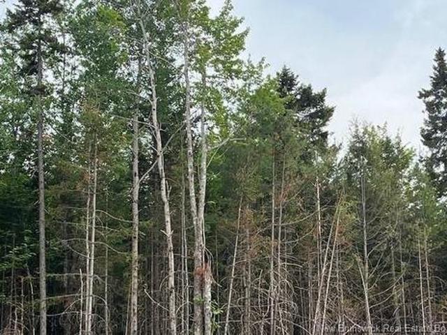 Land for sale in Albert, New Brunswick