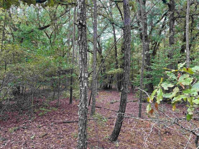 Land for sale in Ark