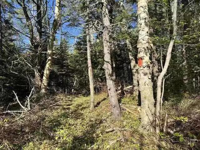 House for sale in Pictou, Nova Scotia