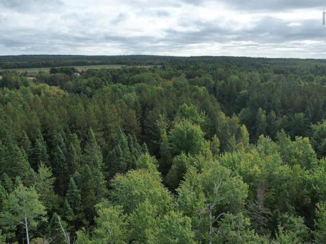 Land for sale in Oxford, Nova Scotia