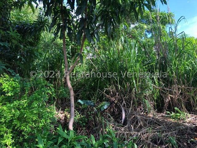 Terreno en venta en Valencia