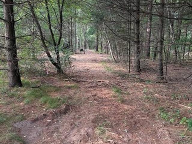 Land for sale in Chetek, Wisconsin