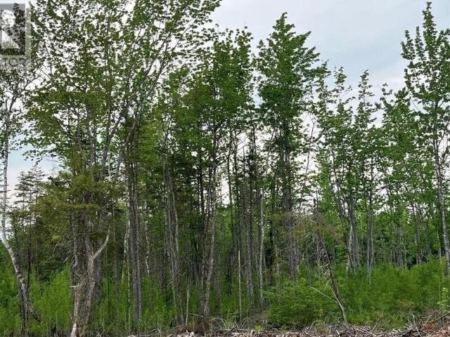 Land for sale in Albert, New Brunswick