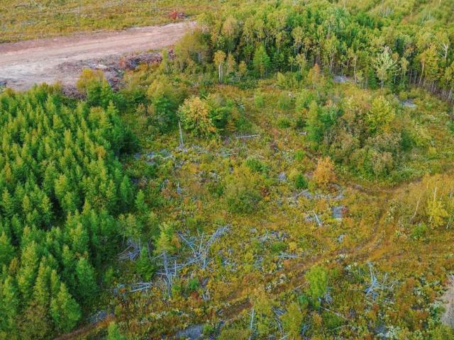 Land for sale in Port Hood, Nova Scotia