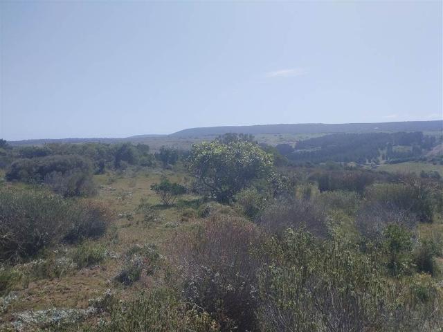 Commercial Land for sale in Garden Route