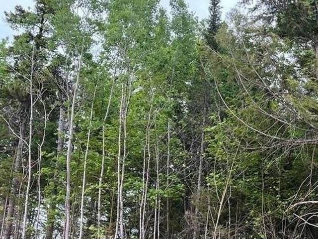 Land for sale in Albert, New Brunswick