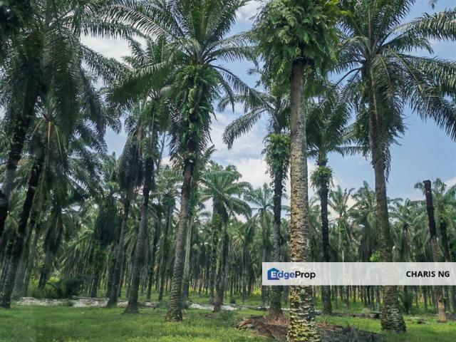 House for sale in Perak, Kampar