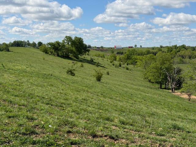 Land for sale in Williamstown, Kentucky