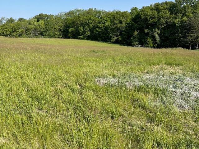 Property for sale in Lanark, Illinois