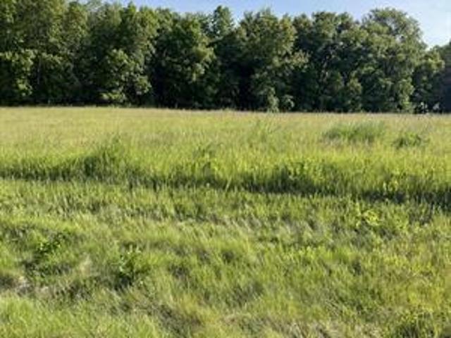 Land for sale in Lanark, Illinois