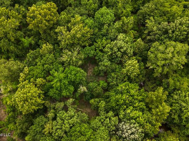 Land for sale in Poplarville, Mississippi