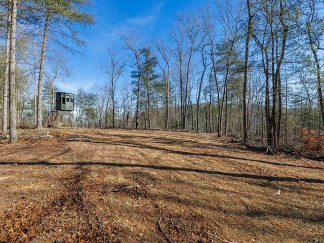 Land for sale in Virginia