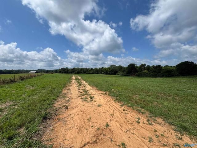 Land for sale in Grant, Alabama
