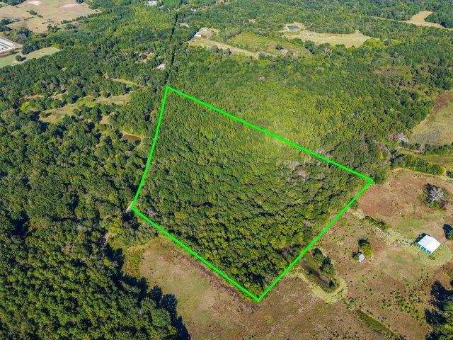 Land for sale in Pittsburg, Camp County