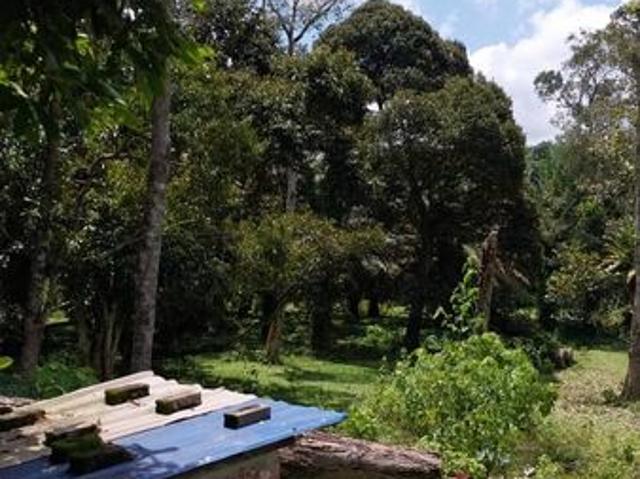 Shop for sale in Perak, Tapah
