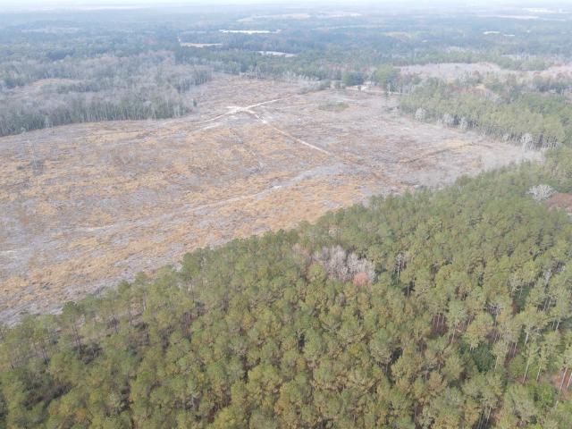 Land for sale in Geneva, Alabama
