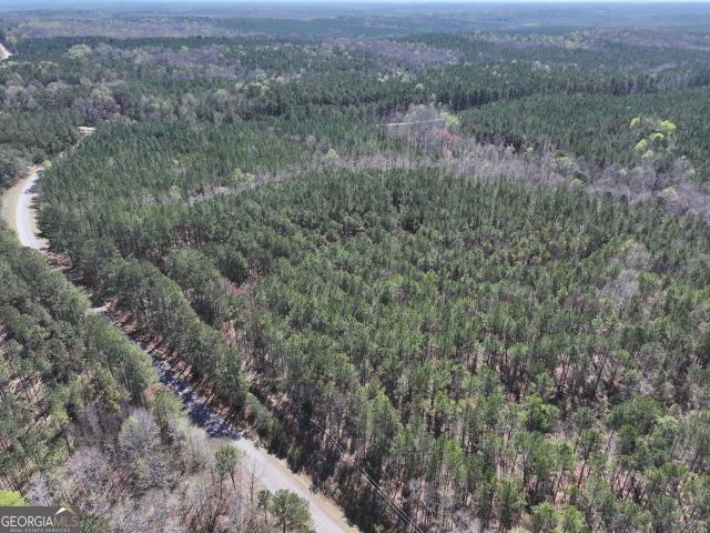 Land for sale in Franklin, Heard County