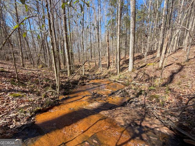 Land for sale in Franklin, Heard County