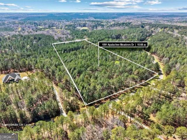 Land for sale in Madison, Georgia