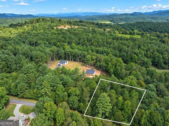 Land for sale in Young Harris, Towns County
