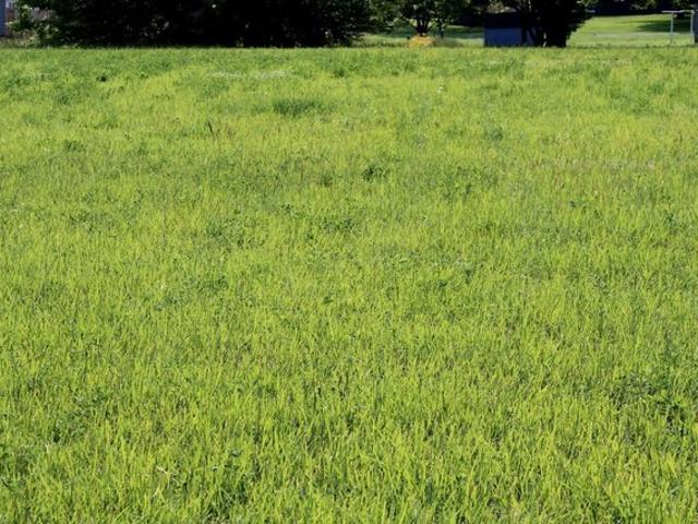 Land for sale in Gibson, Indiana
