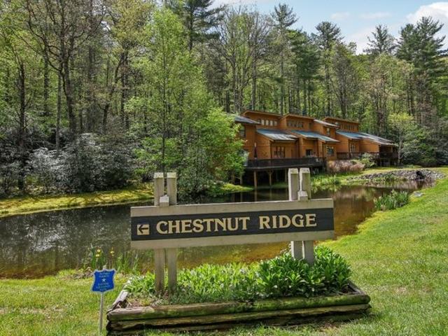 Condo for sale in Transylvania, North Carolina