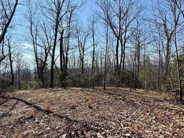 Land for sale in Transylvania, North Carolina