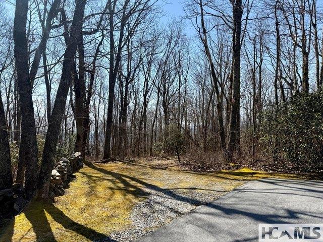 Land for sale in Transylvania, North Carolina
