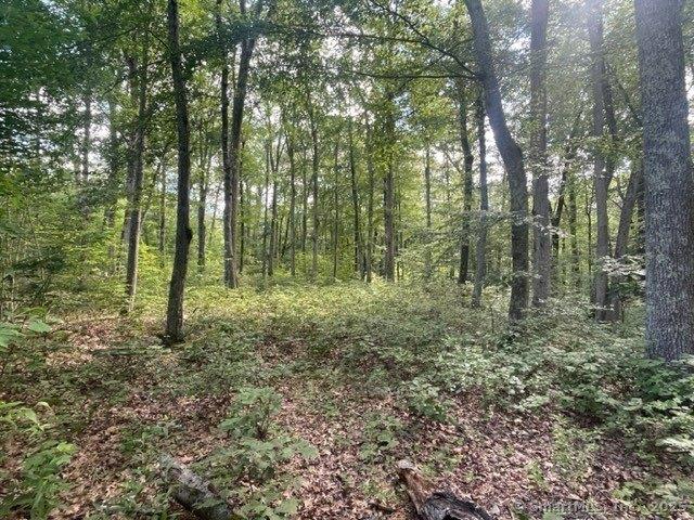 Land for sale in Redding, Connecticut