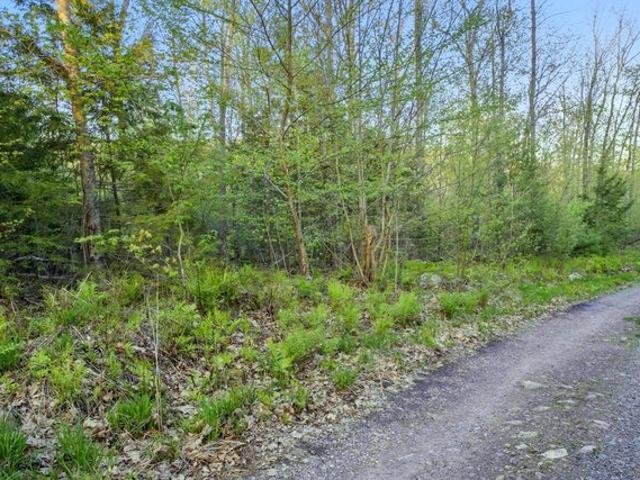 Land for sale in Holden, Maine
