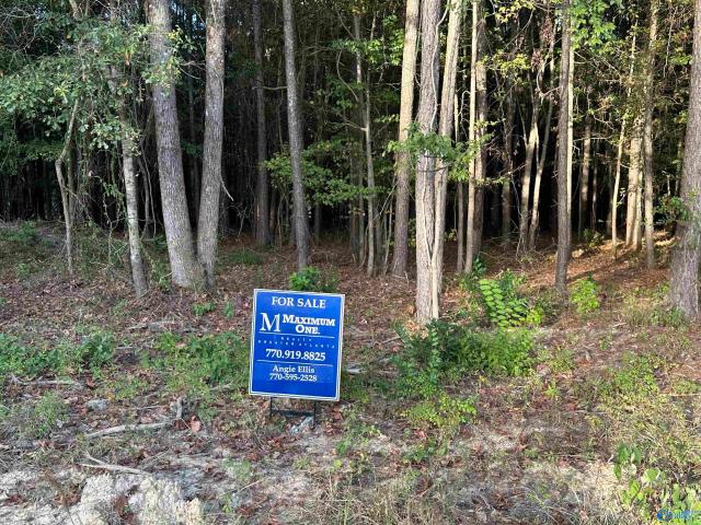 Land for sale in Centre, Cherokee County