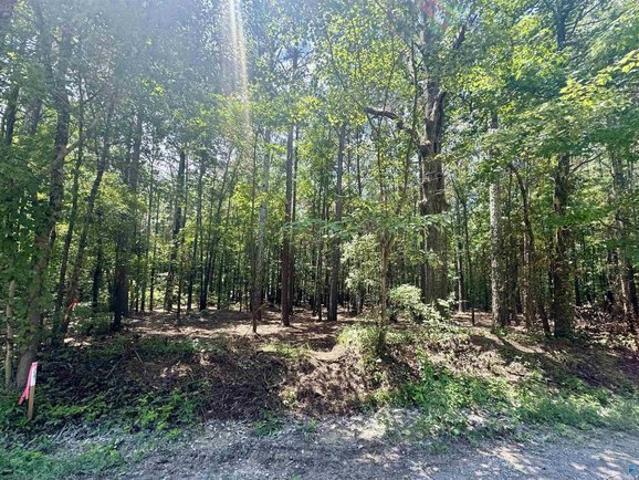 Land for sale in Centre, Alabama