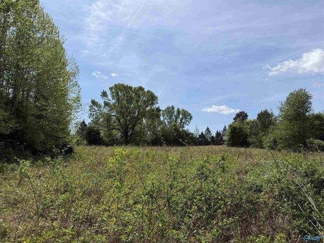 Land for sale in Town Creek, Alabama