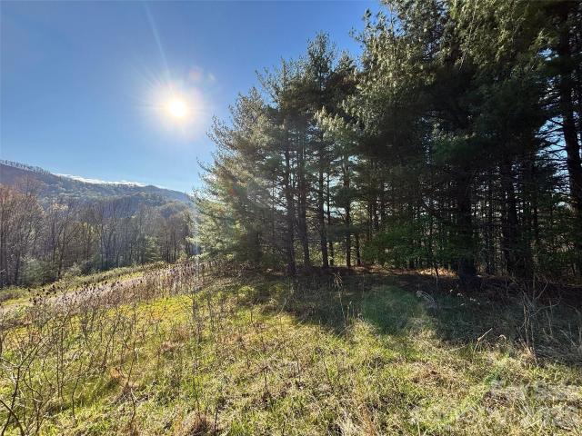 Land for sale in Haywood, North Carolina