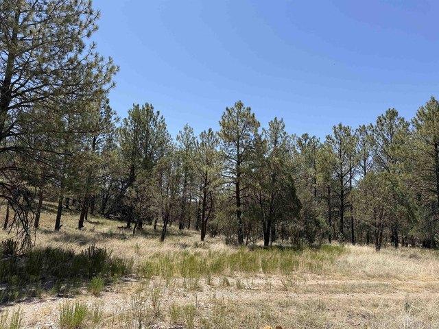 Land for sale in Timberon, New Mexico