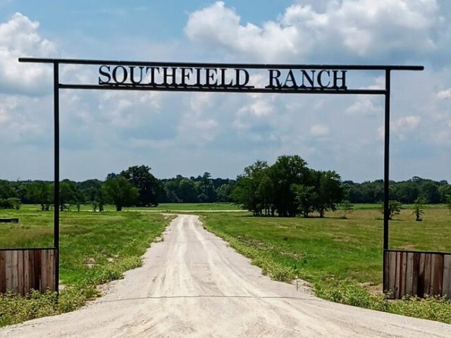 Land for sale in Lovelady, Texas