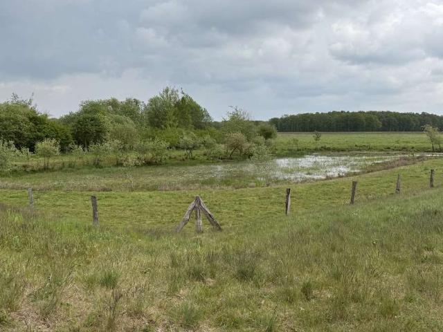 Erdgeschosswohnung kaufen in Rüsfort, Gehrde