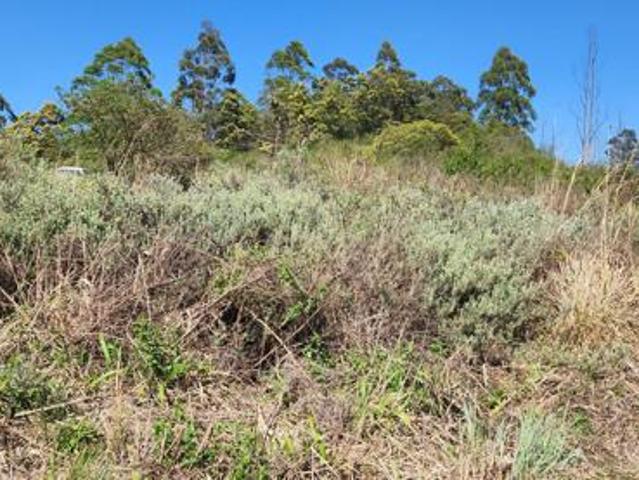 Land for sale in Mopani, Limpopo