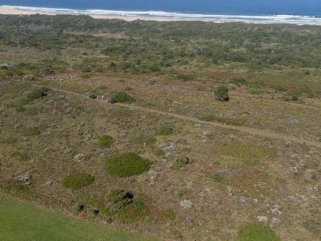 Land for sale in Cape St Francis, Eastern Cape