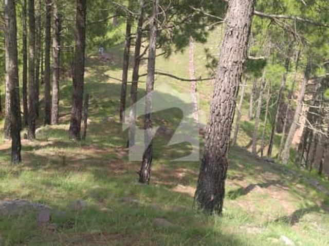 Property for sale in Murree, Islamabad Capital Territory