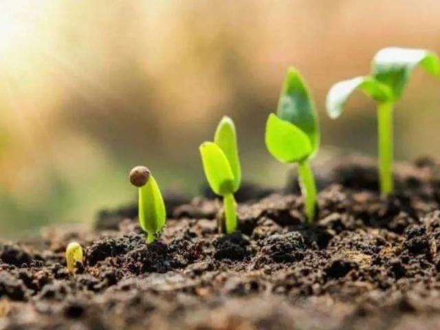 Land for sale in Gujranwala, Islamabad Capital Territory