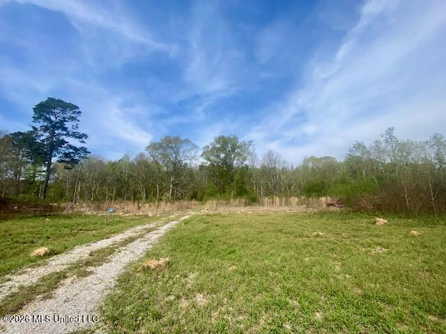 Land for sale in Centreville, Mississippi