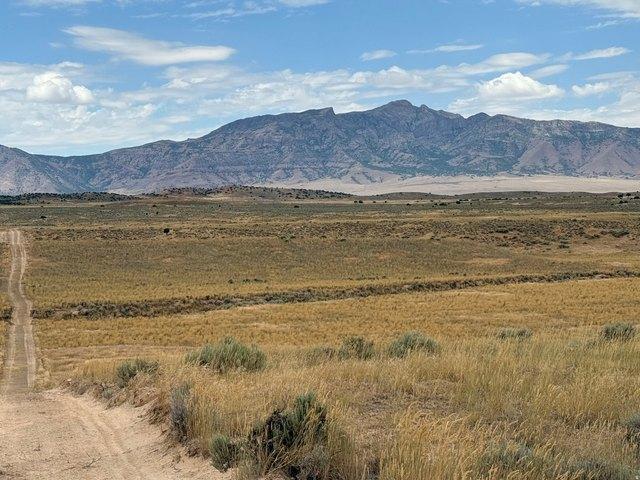 Land for sale in Levan, Utah