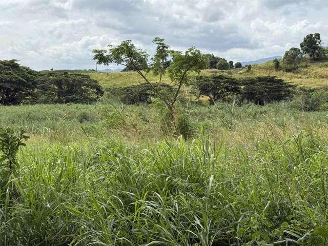 Land for sale