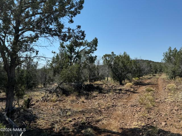 Land for sale in Williams, Arizona