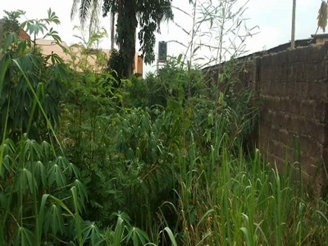 Property for sale in Ogun