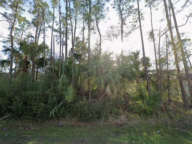 Land for sale in Palm Coast, Florida